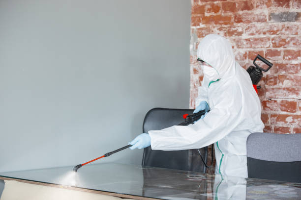 Why You Should Choose Our Mold Remediation Services in Brookville, PA